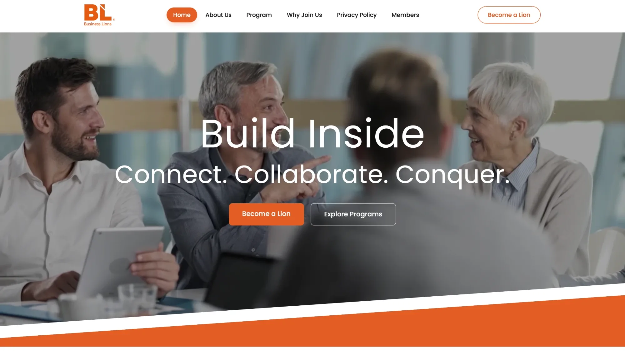 Business Lions — A business networking community — platform and member app